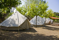 Campament juvenil